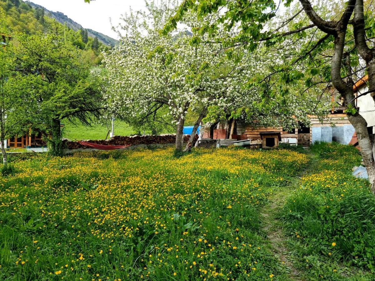 Bed and Breakfast Girgola Местія Екстер'єр фото
